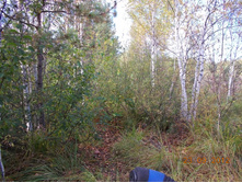 DSCN0246.JPG