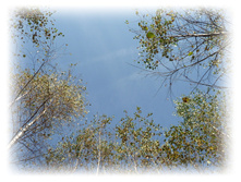 P1000209.JPG