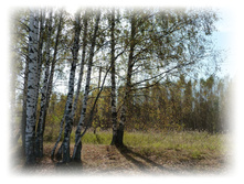 P1000210.JPG