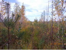 DSCN0256.JPG