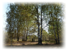P1000257.JPG