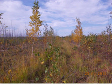 DSCN0259.JPG