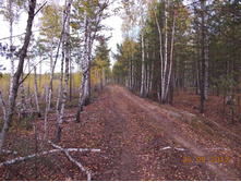 DSCN0266.JPG
