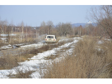 Small__DSC1454.JPG