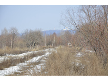 Small__DSC1457.JPG