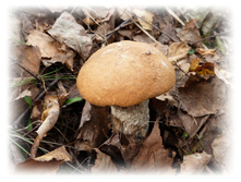 P1000459.JPG