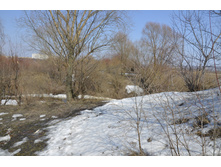 Small__DSC1545.JPG