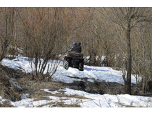 Small__DSC1550.JPG