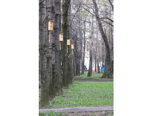 28.11.2008 14:37:38