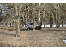Small__DSC1993.JPG