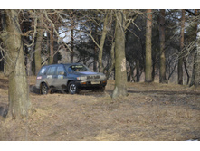 Small__DSC2031.JPG