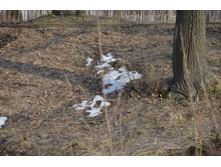 Small__DSC2035.JPG