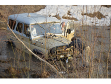 Small__DSC2307.JPG