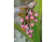 DSC_4967_294.JPG