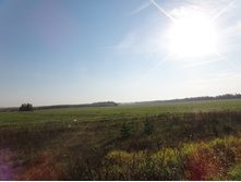 DSC00475.JPG