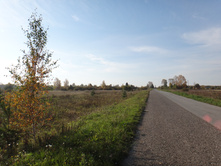 DSC00487.JPG