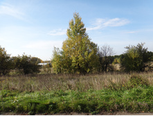DSC00507.JPG