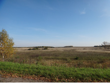 DSC00525.JPG