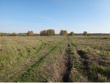 DSC00532.JPG