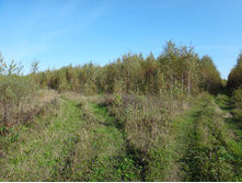 DSC00546.JPG