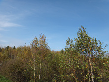 DSC00579.JPG