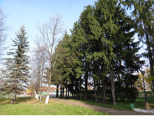 DSC00626.JPG