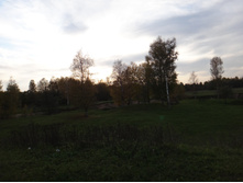 DSC00653.JPG