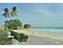 DSC_6141_908.JPG