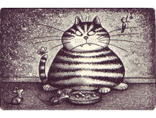 15.08.2010 2:37:39