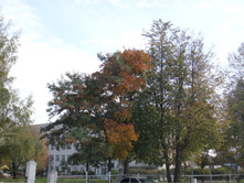 DSC00277.JPG