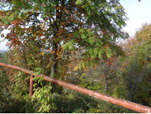 DSC00303.JPG