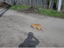 DSC00374.JPG
