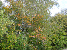 DSC00418.JPG