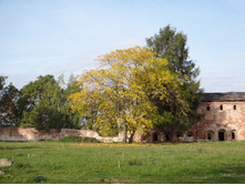 DSC00440.JPG