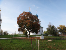 DSC00442.JPG