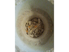 ����0156.jpg
