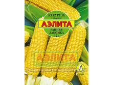 4074352.Kukuruza_Rannjj_lakomka_saharnaj_121_--2,100.jpg