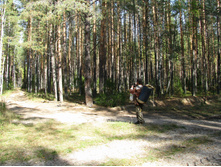 MG_5793.jpg