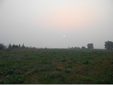 17.08.2010 10:26:32