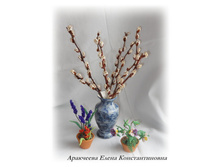 DSCN9527-2.jpg