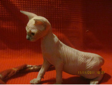 IMG_1486.JPG