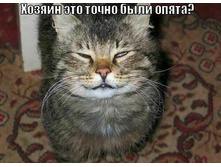 01.02.2013 16:53:21