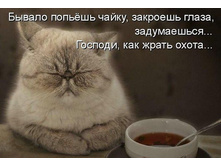 01.02.2013 16:55:23