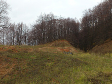 DSC_0044.jpg