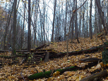 DSC_0033.jpg