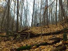 DSC_0034.jpg