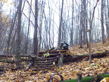 DSC_0035.jpg