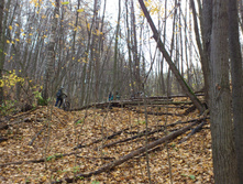 DSC_0041.jpg