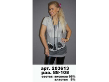 203613 (600-00).jpg