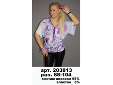 203813 (600-00).jpg